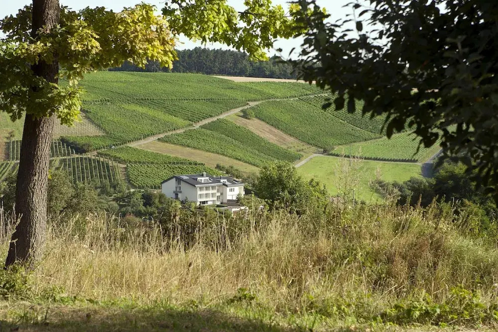 BENZ Weingut & Weinhotel