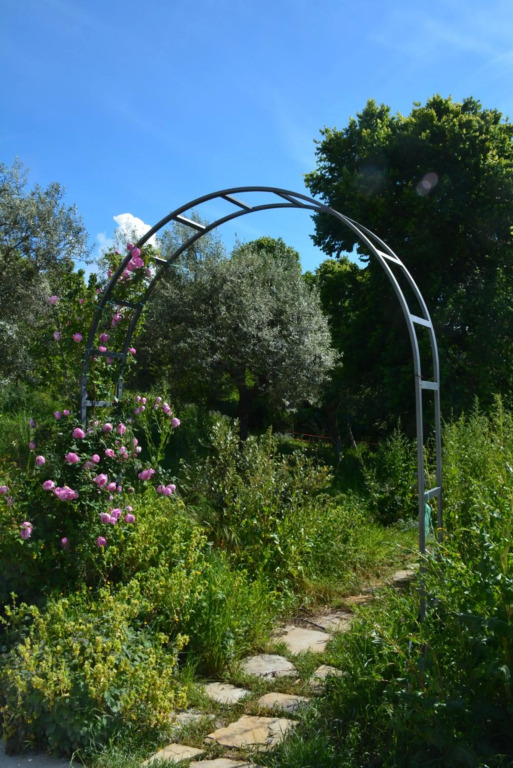 Casale Dionisia, Santa Maria di Castellabate, Appartamento Iris