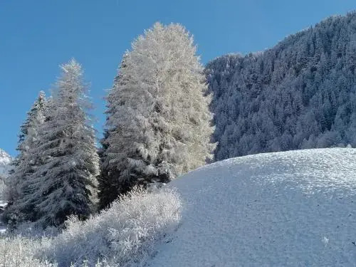 Garni Waltoy