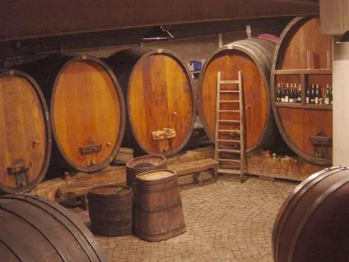 Ecologis du Vignoble