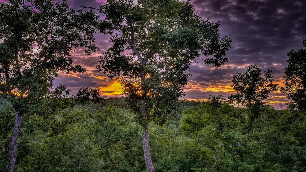 Secluded Serenity by Escape to Blue Ridge
