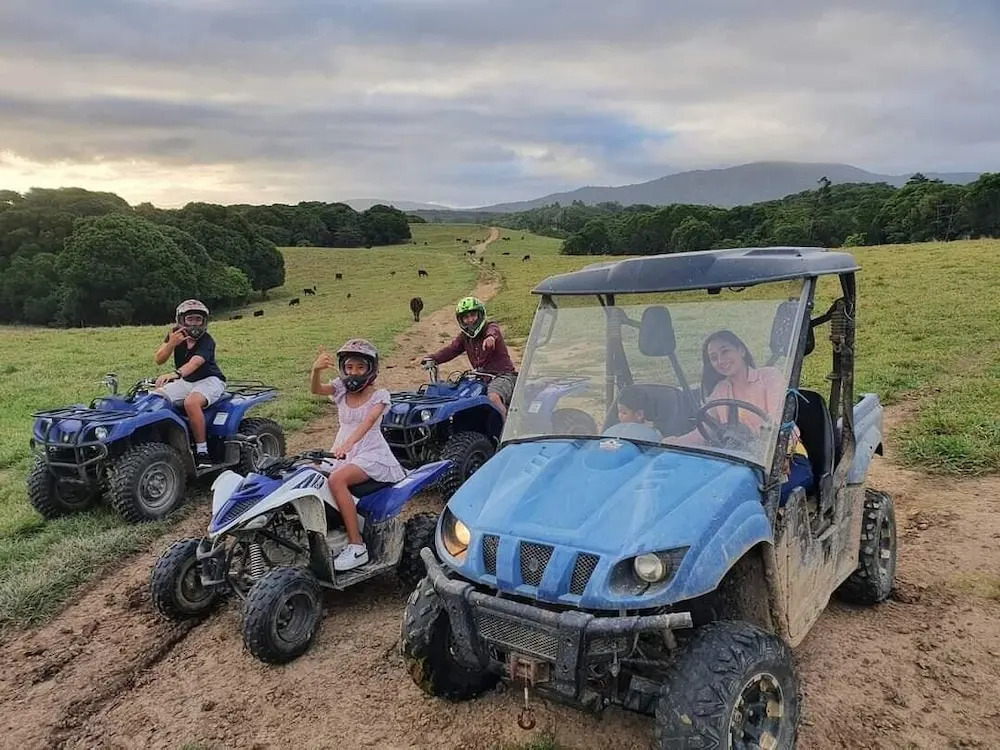 KUR-Cow farm escape 35 minutes from Cairns
