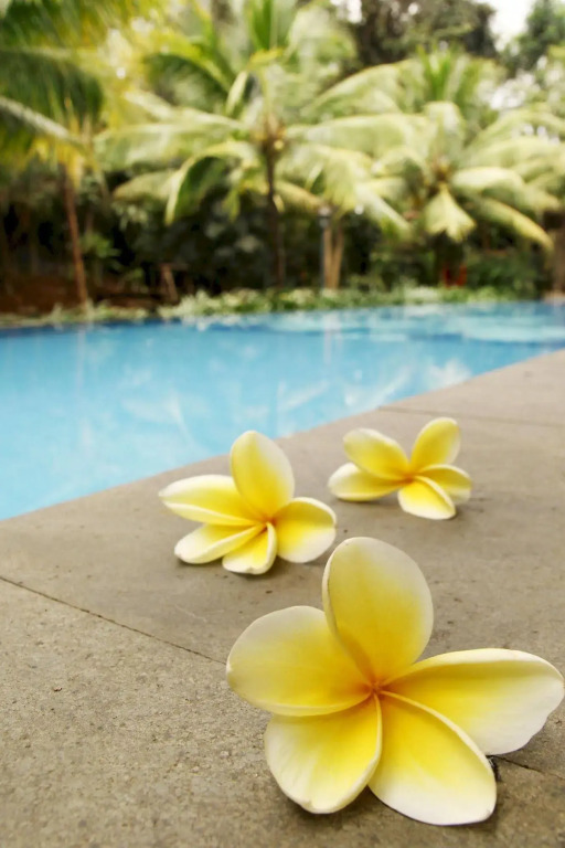Kayu Arum Resort