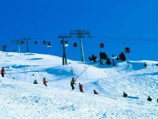 Hotel Garni Alpenhof