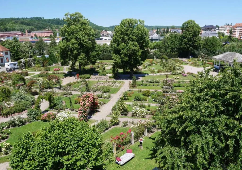 Le Jardin des Roses
