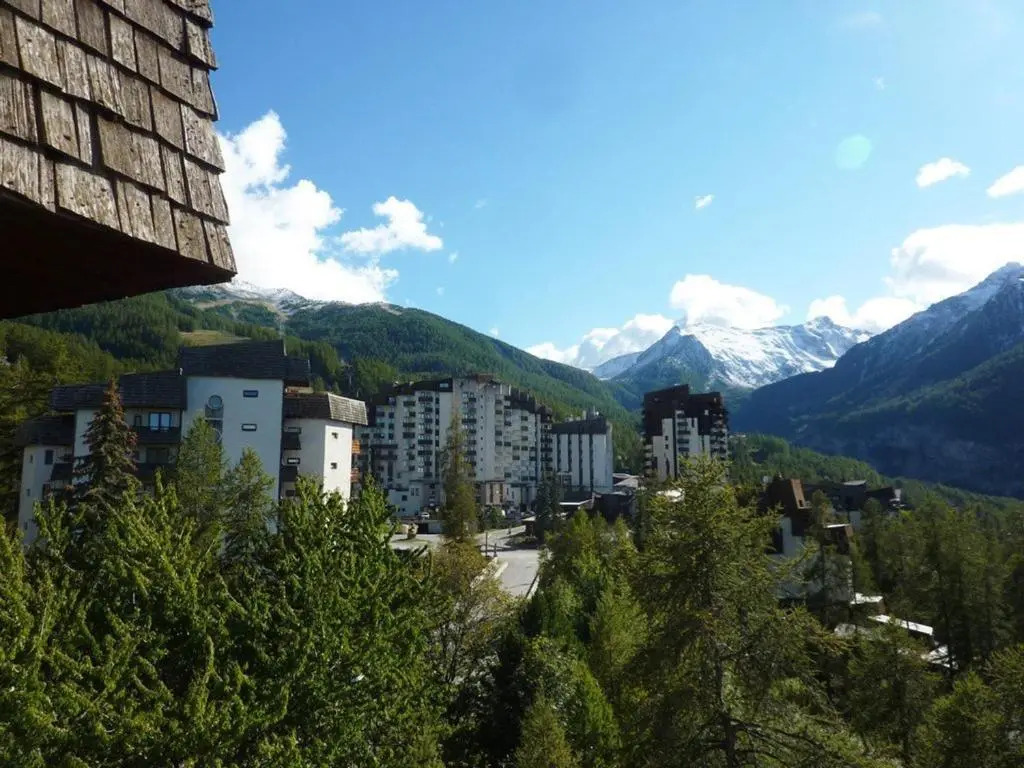 Appartement Les Orres, 1 pièce, 4 personnes - FR-1-322-255