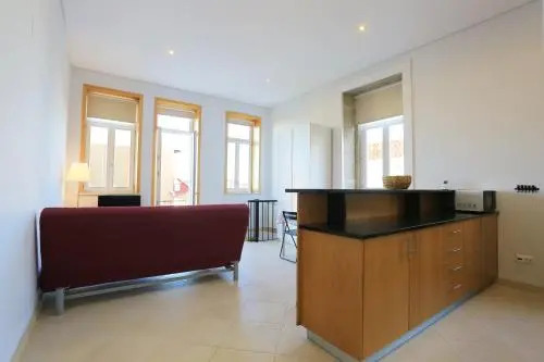 Bright Luxury Apartment