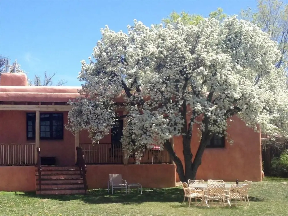 5bd Historic Pink House