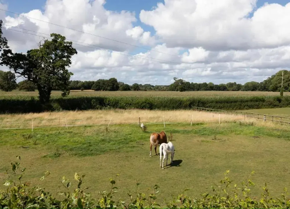 Idyllic Cottage Escape With Garden, No Deposit