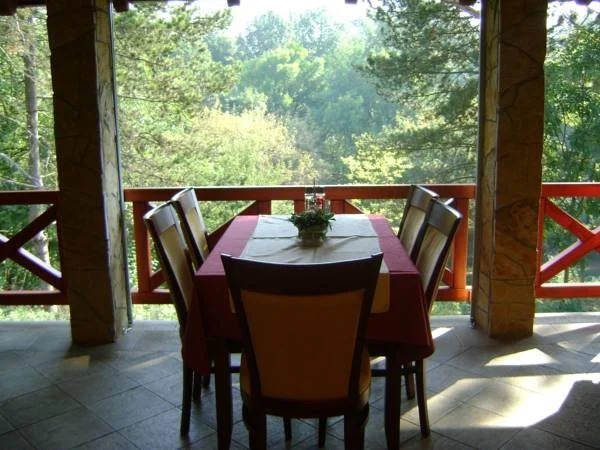 Hotel Borkovac