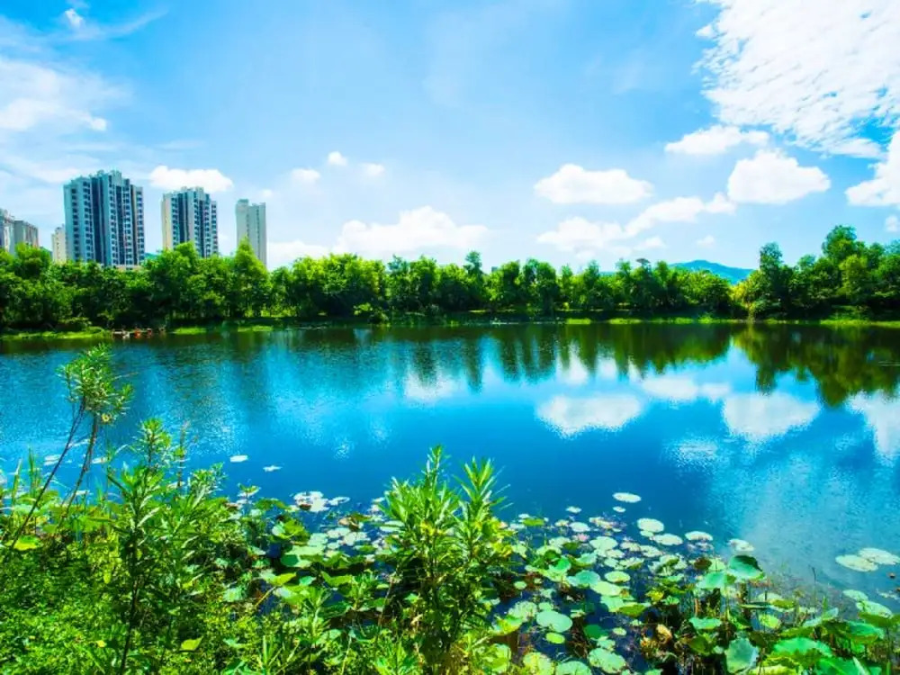 Sanya Linglong Lulushun Hotel