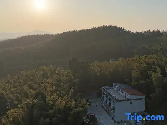 Southern Sichuan Bamboo Sea Forest Resort Homestay