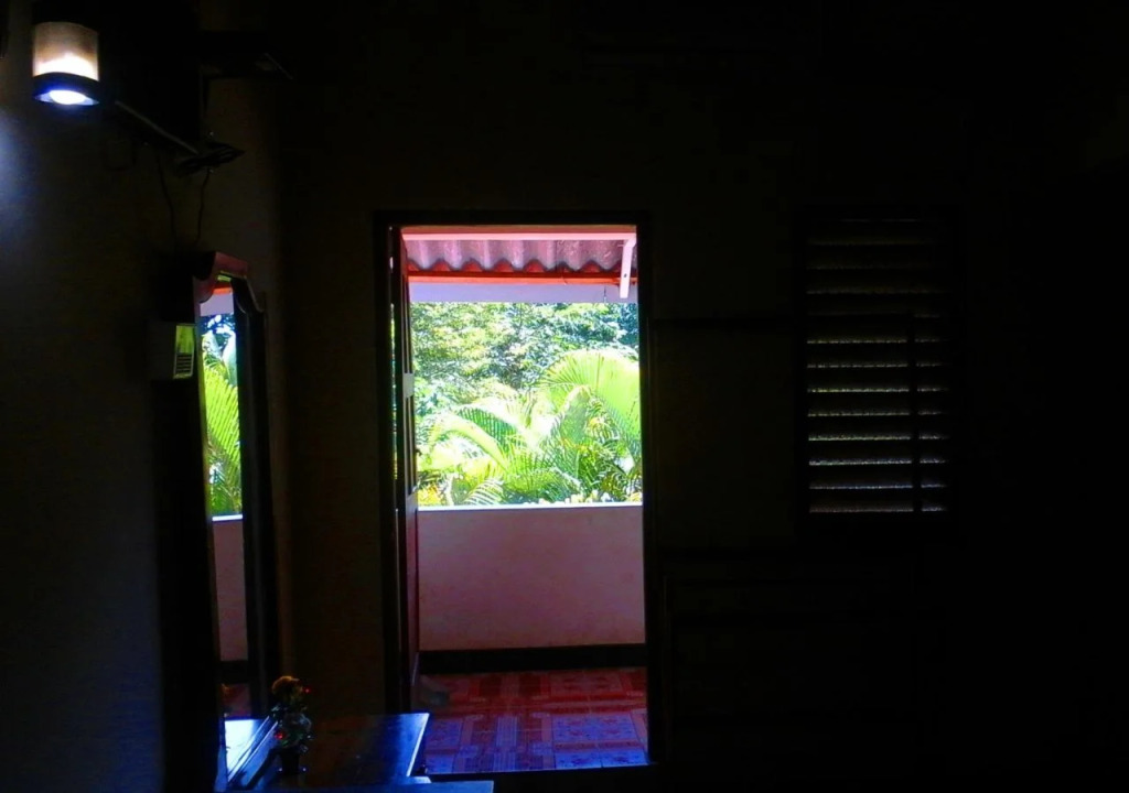 Hanoi Palace