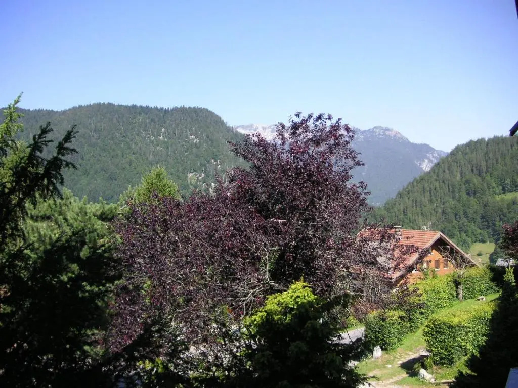 Appartement La Clusaz, 2 pièces, 4 personnes - FR-1-437-5