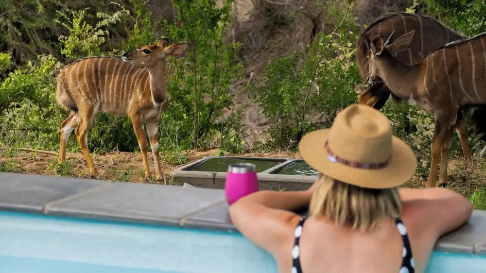 Nomads Den - Safari Villas in Hoedspruit