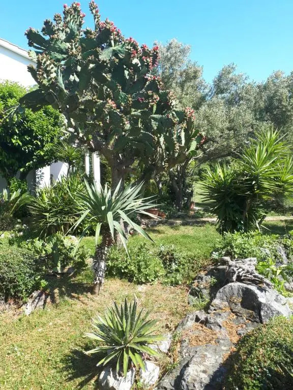 Apartments Makaus