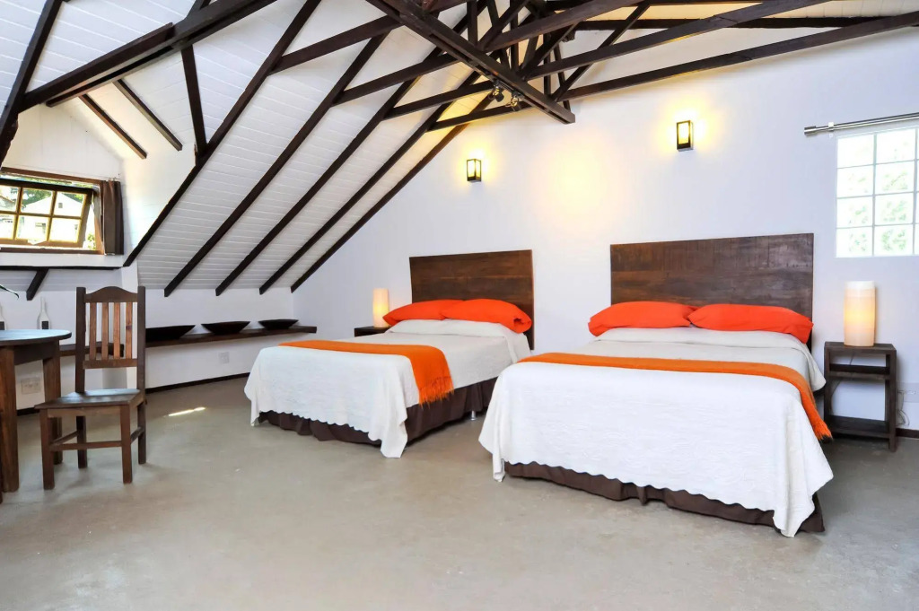 Casa Cool Beans B&B Santa Teresa