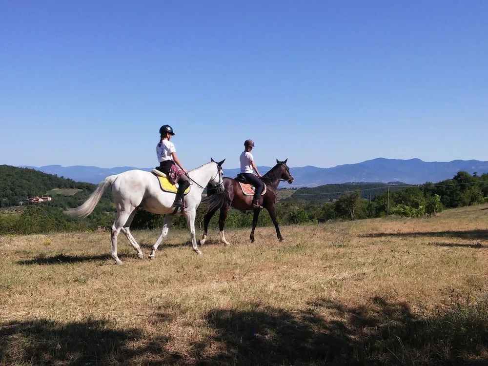 Farmhouse with stables, horses and the ability to make horseback riding
