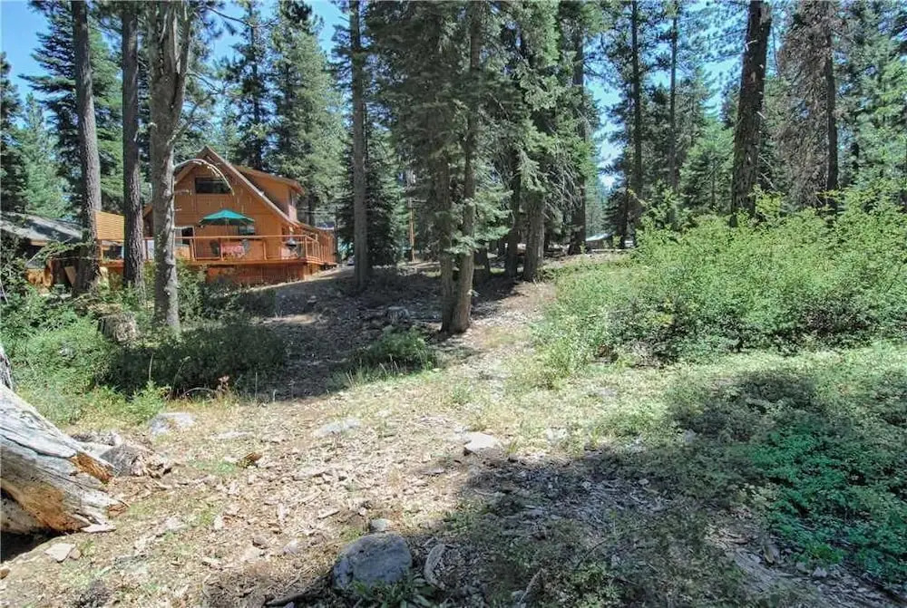 Forest Views From Hot Tub! #158