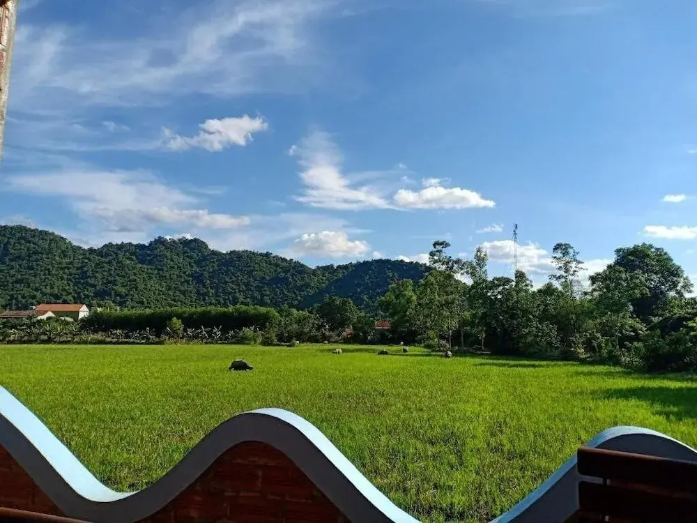 Phong Nha An An Homestay