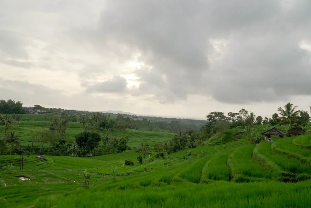 RIDDHI Restaurant & Villas Jatiluwih
