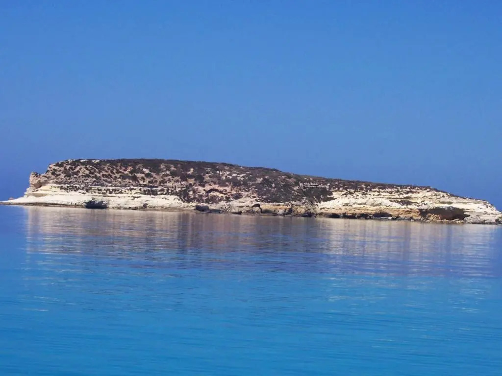 DAMMUSI JERIMAR