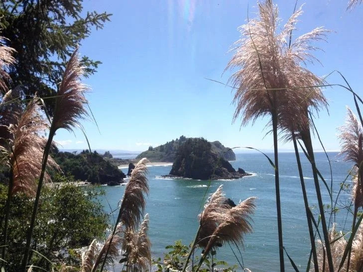Lookout At Trinidad Bay