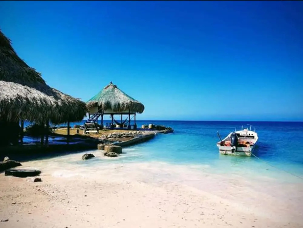Isla Múcura Dahlandia