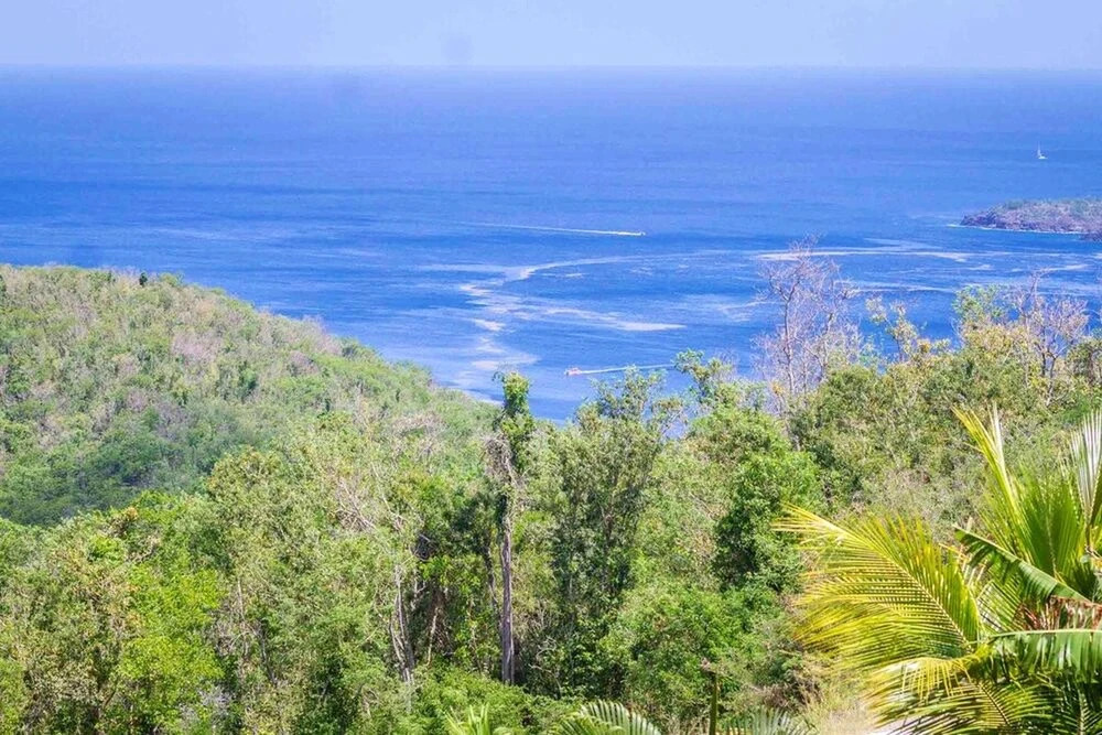House With one Bedroom in Bouillante, With Wonderful sea View, Enclosed Garden and Wifi - 5 km From the Beach