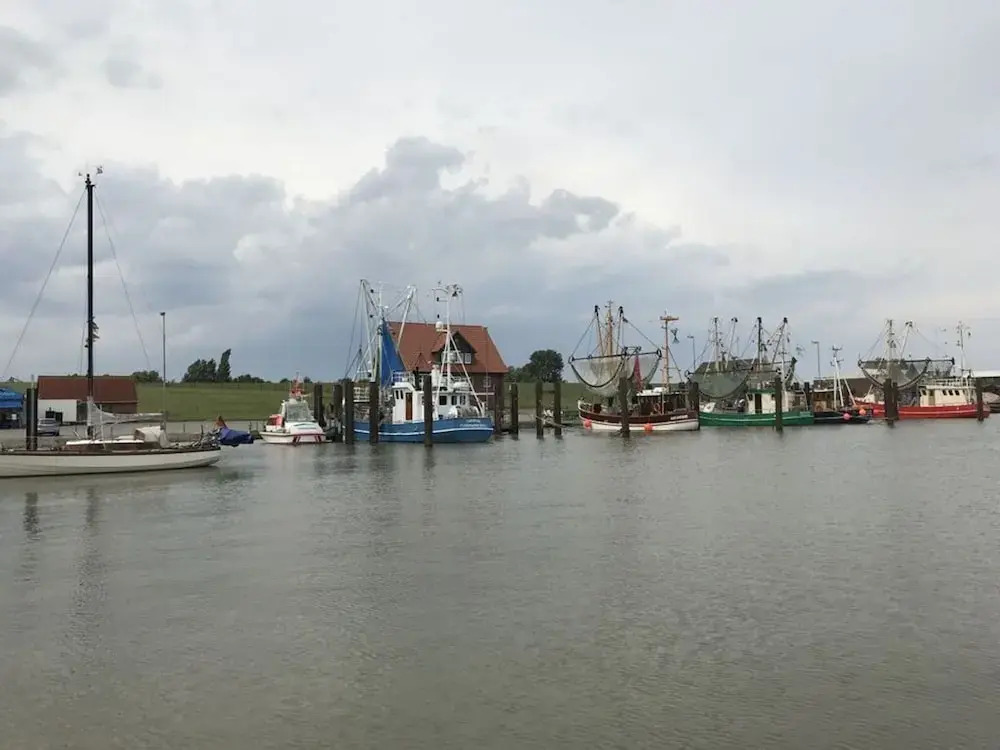 Seepark Burhave Haus 8