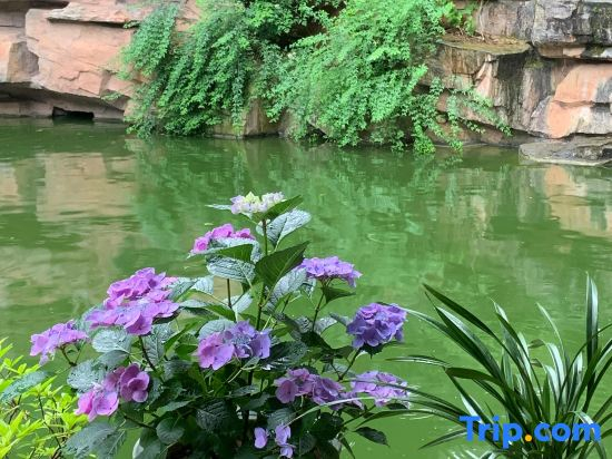 Wuyi Yangchun Shanju Guesthouse