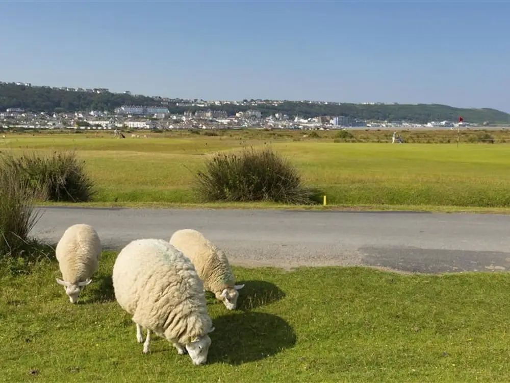 Modern Holiday Home in Westward Ho Near the Sea
