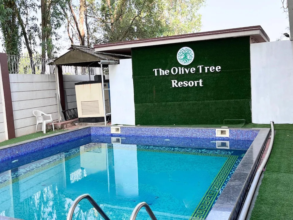 Olive Tree Resort