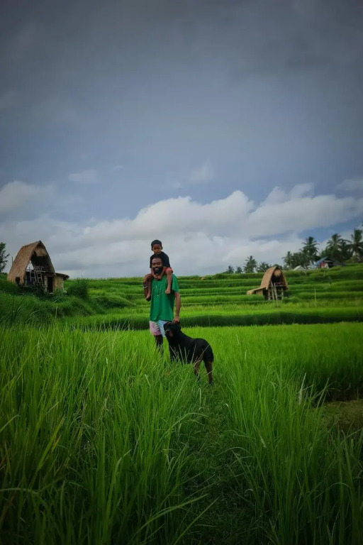 Swaha Retreat & Eco Park Ubud