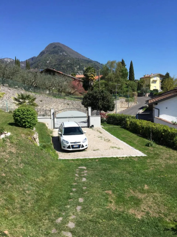 Verde Panorama
