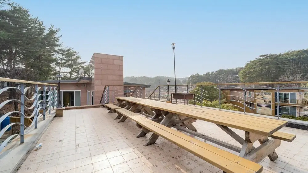 Gangneung pinepalace pasion