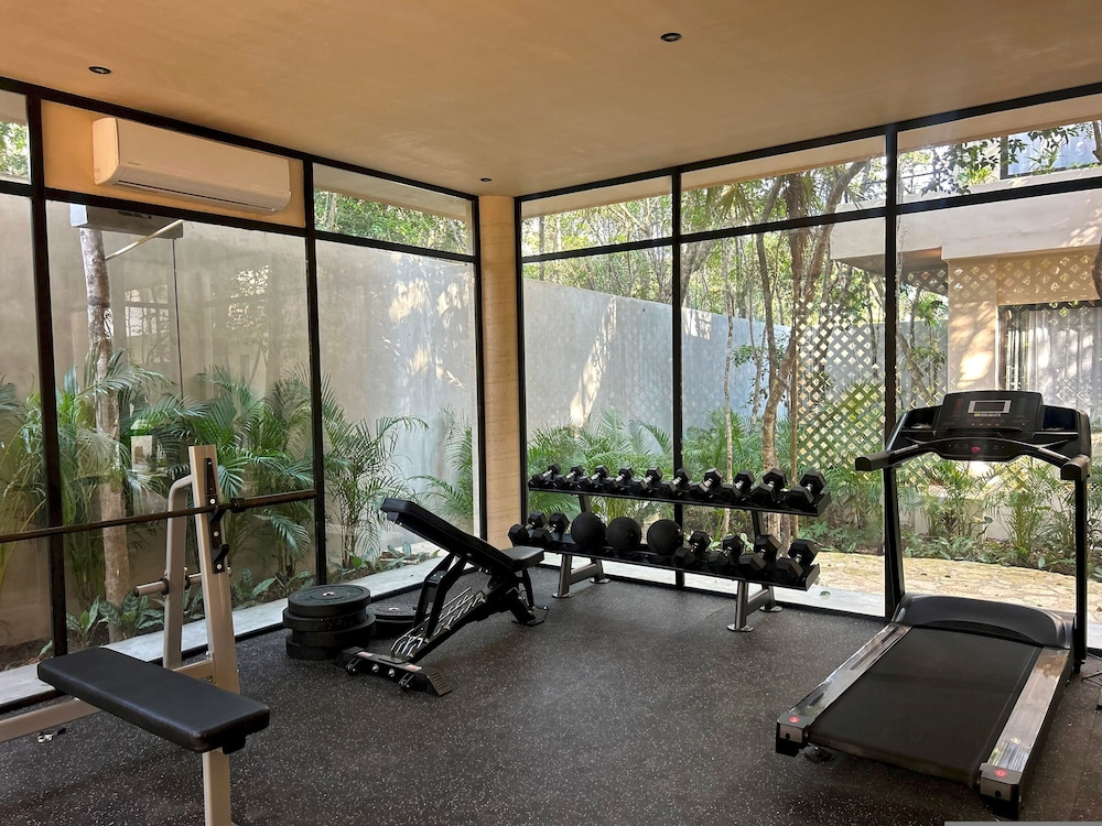 Tropical Studio Pool Gym C6