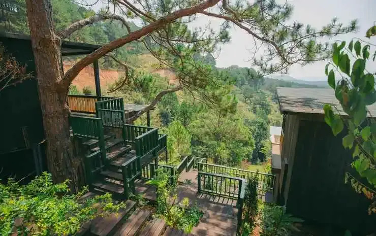 Lavender Dalat Hotel and Resorts