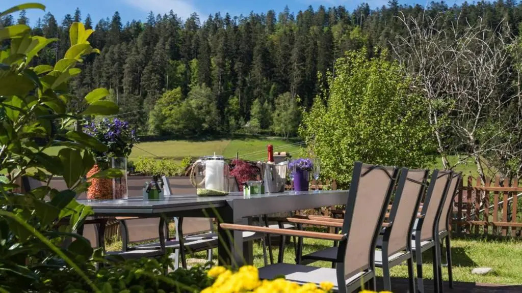 Schwarzwaldhaus Enzklösterle