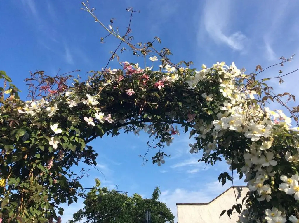 The Hideaway - a charming, unique retreat in Long Ashton, Bristol