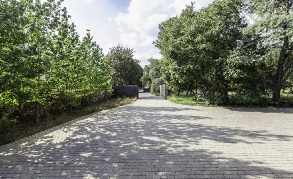 Celtis House