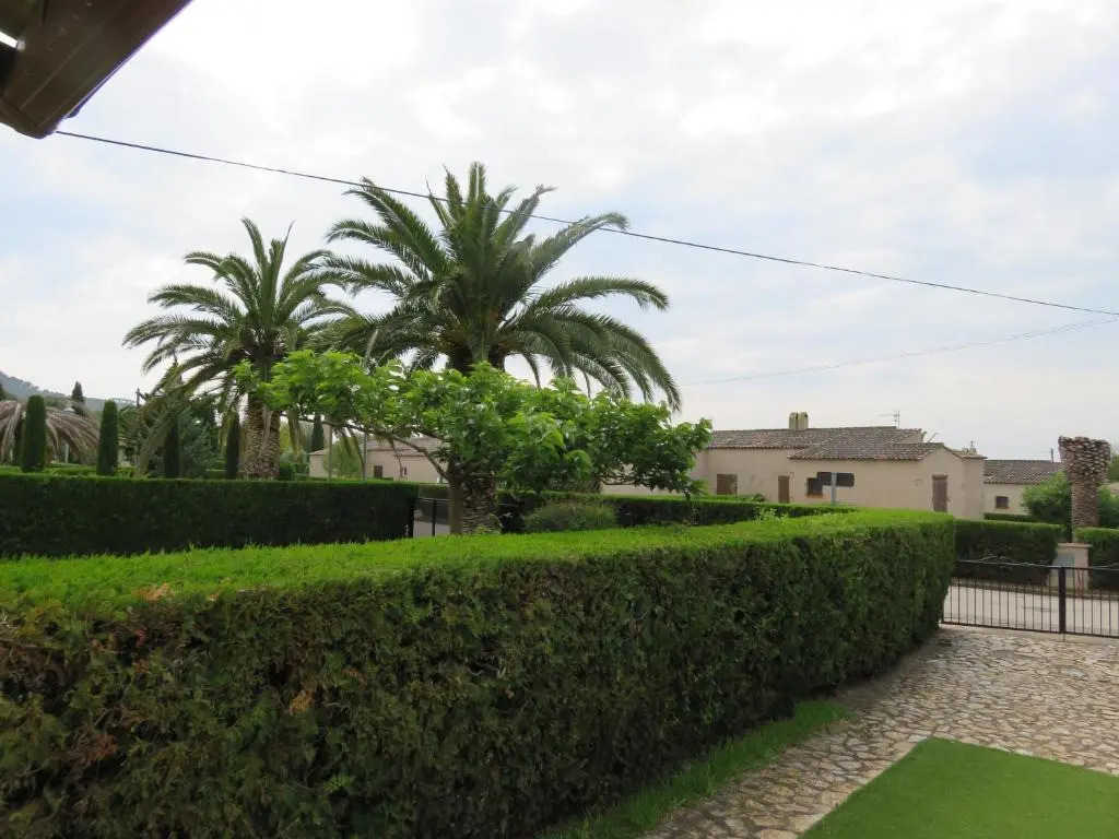 Les Palmeres 53