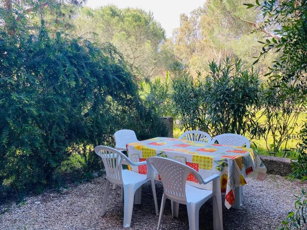 Appartement Calvi, 1 pièce, 4 personnes - FR-1-63-285