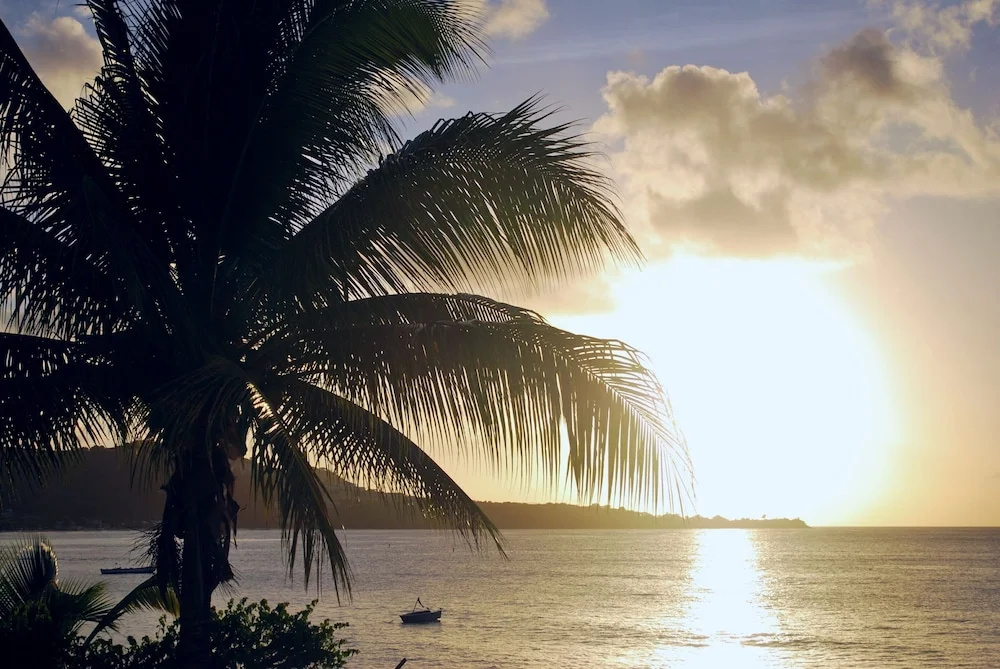 Grand Anse Beach Palace