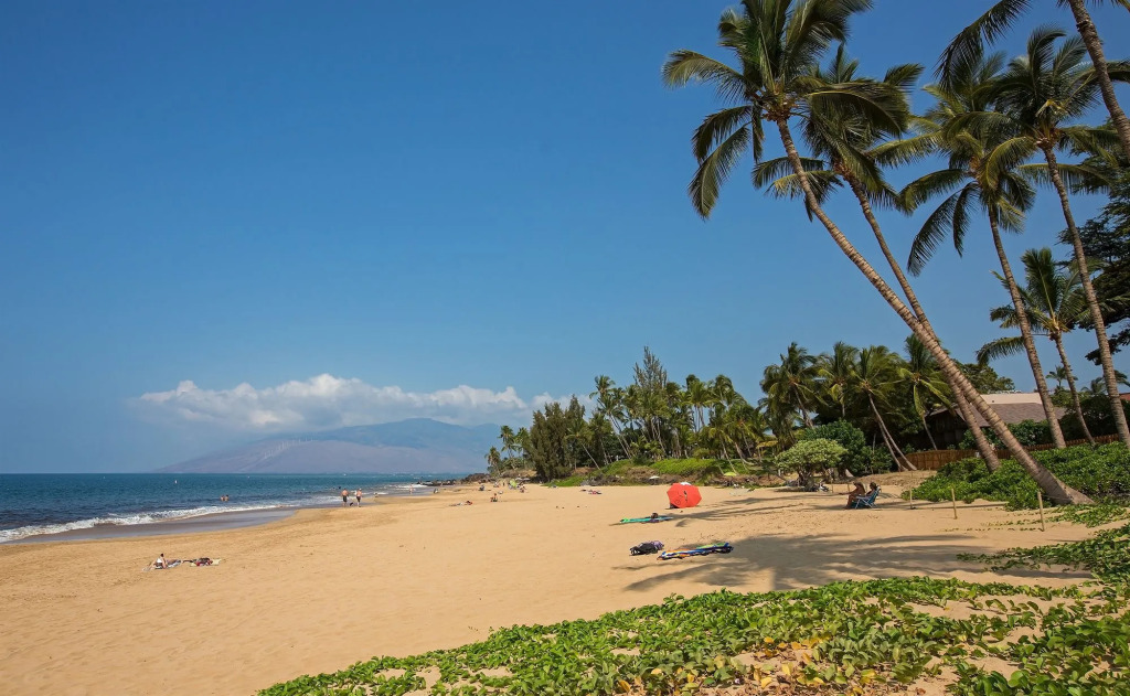 Maui Coast Hotel