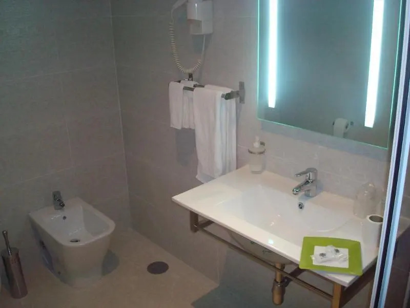 Palace Hotel & Spa Termas de São Tiago