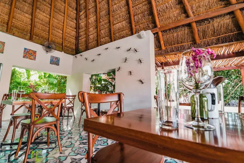 Blue Palm Bacalar