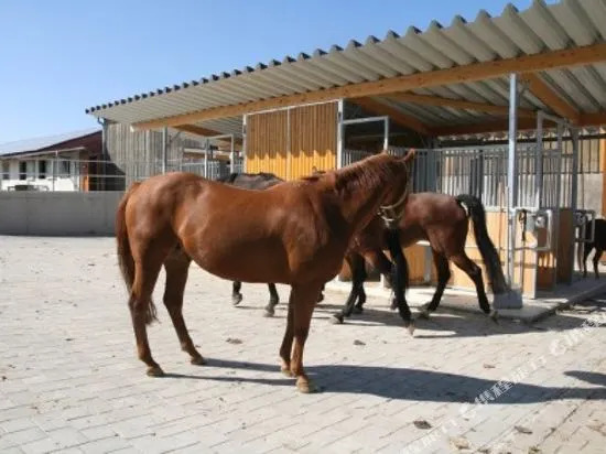 Reitanlage Hartsfeldhof
