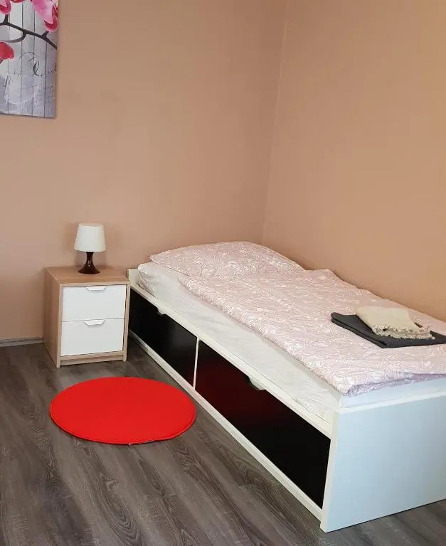 Rhein Living Apartment - Balkon und Rheinpromenade