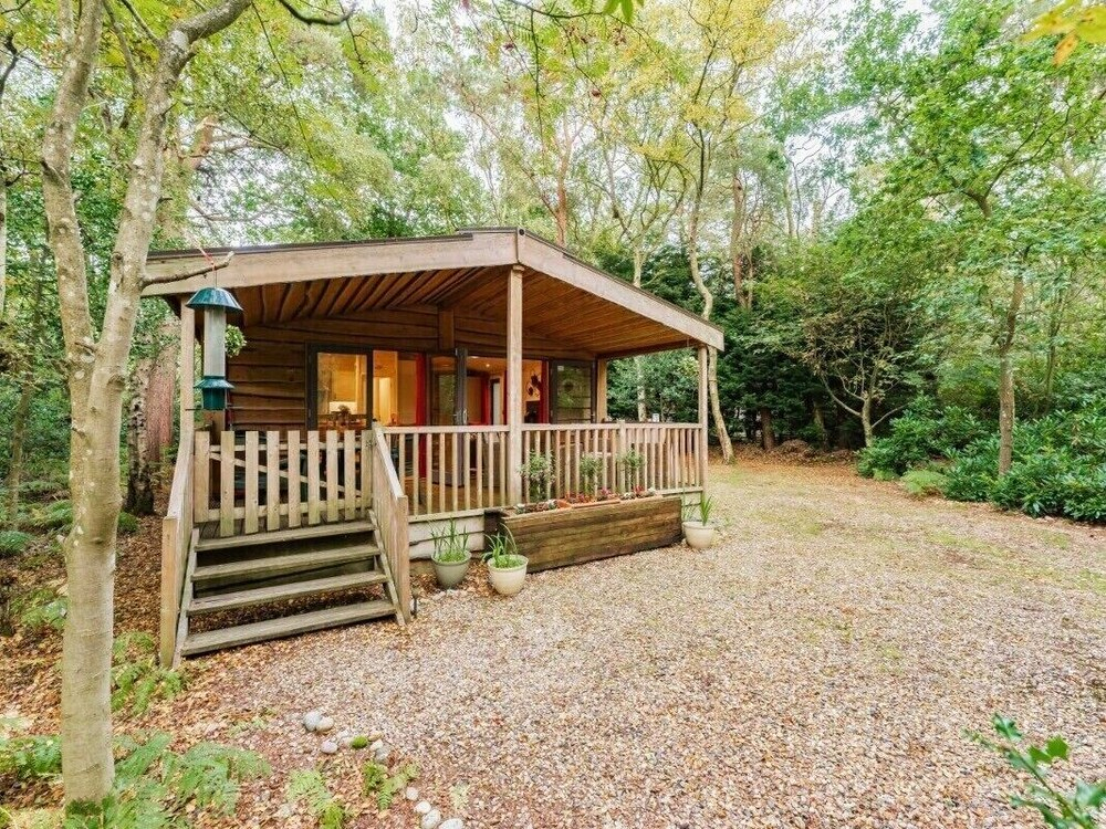 Squirrels Chase - Kelling Heath Holiday Park - 18691